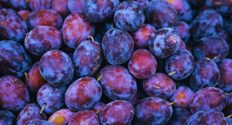 gros plan de prunes violettes fraîches empilées